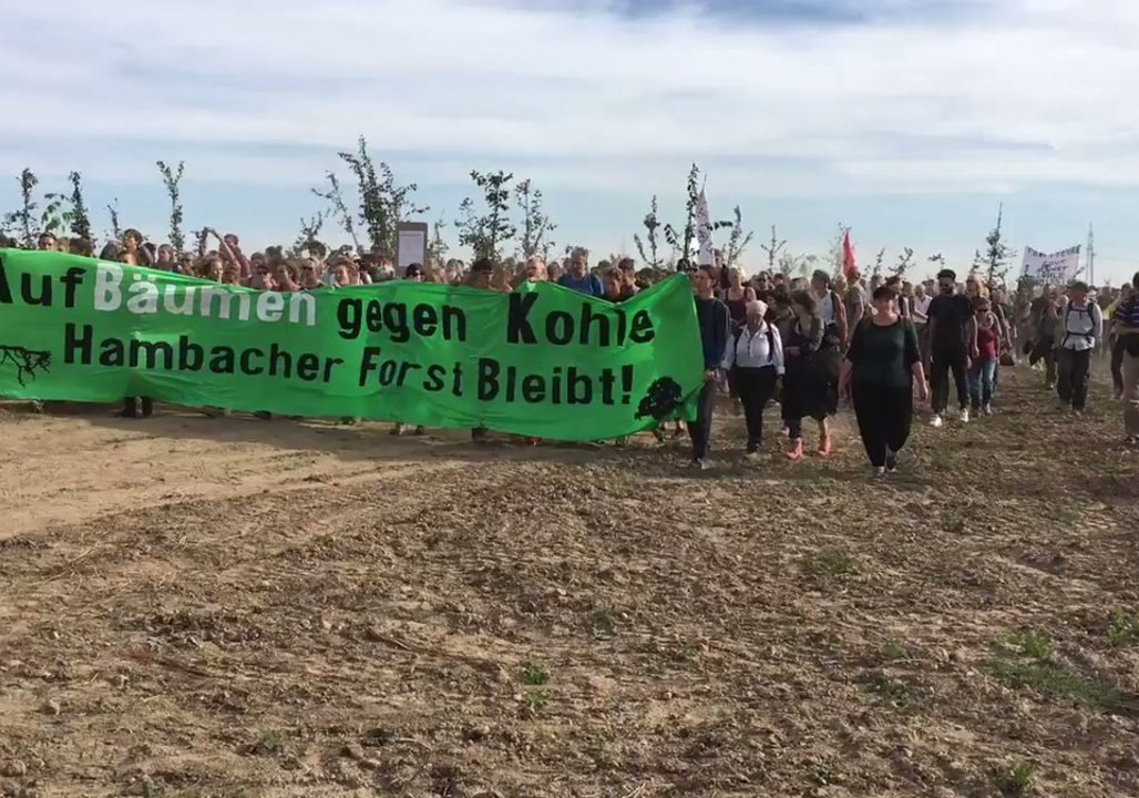 Protesters and Activists Clash as German Tree House Evictions Continue