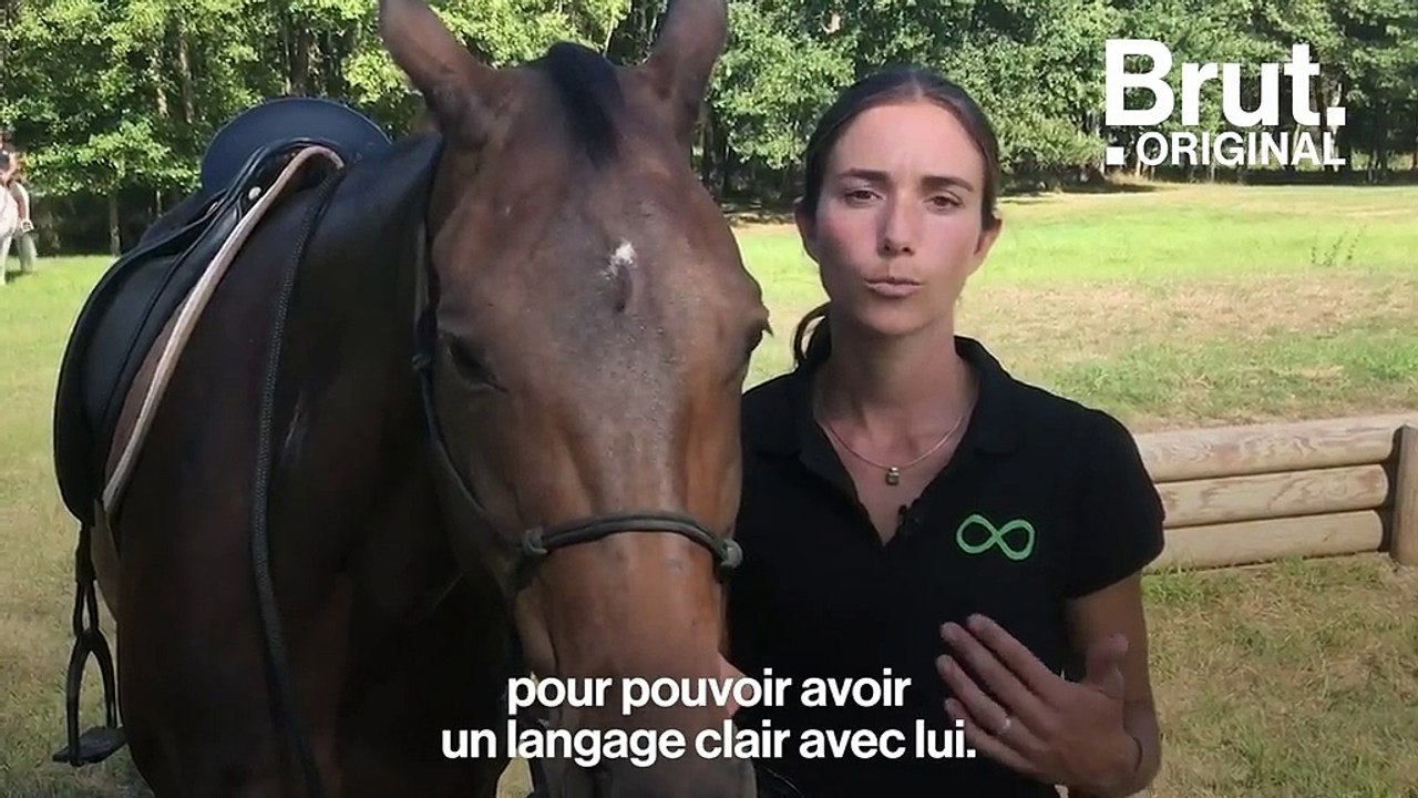 L’équitation éthologique, "une façon plus douce et plus juste de travailler le cheval"