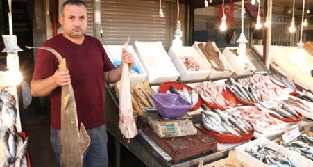 Avlanma Yasağının Sona Ermesiyle Tezgahlarda Balık Bolluğu Yaşanmaya Başladı
