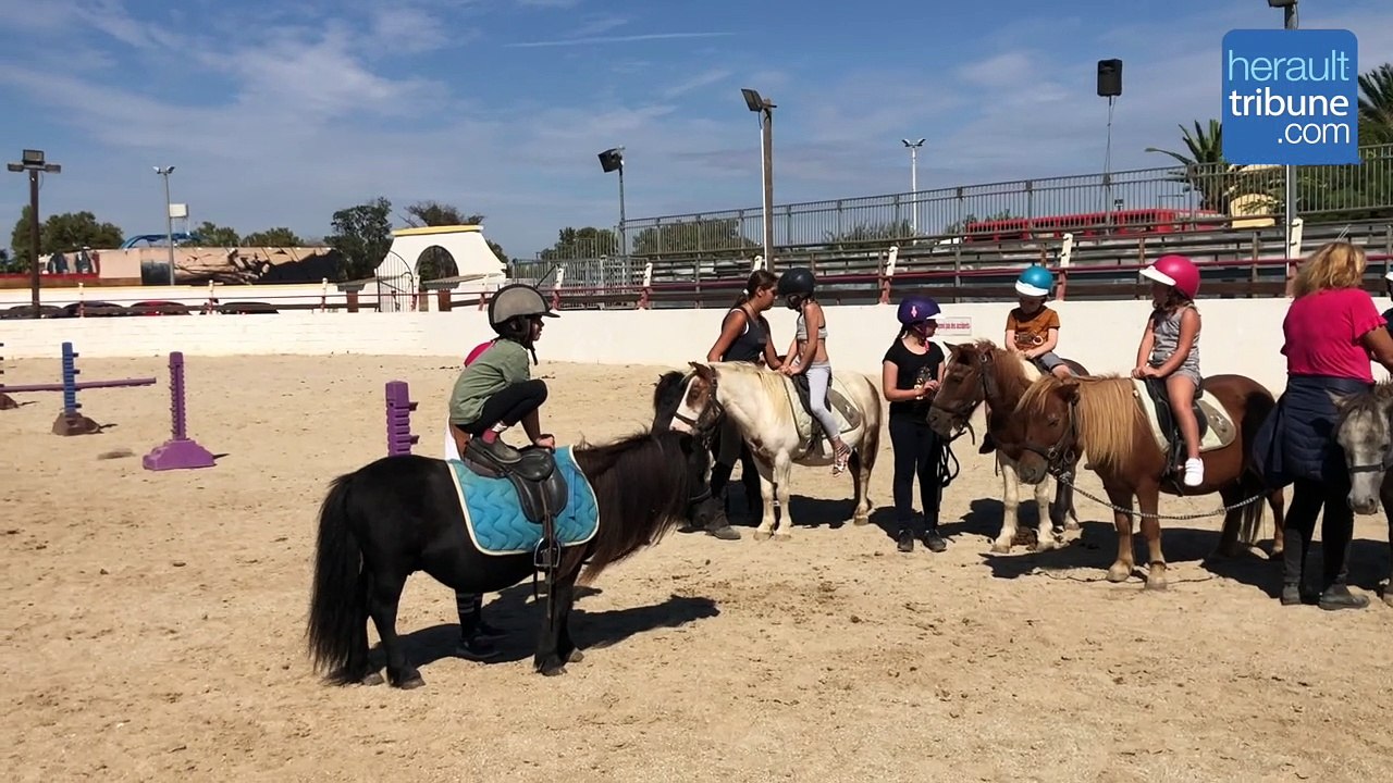 Ranch FUMAT : Découvrez votre centre équestre ouvert à l'année - Vidéo ...