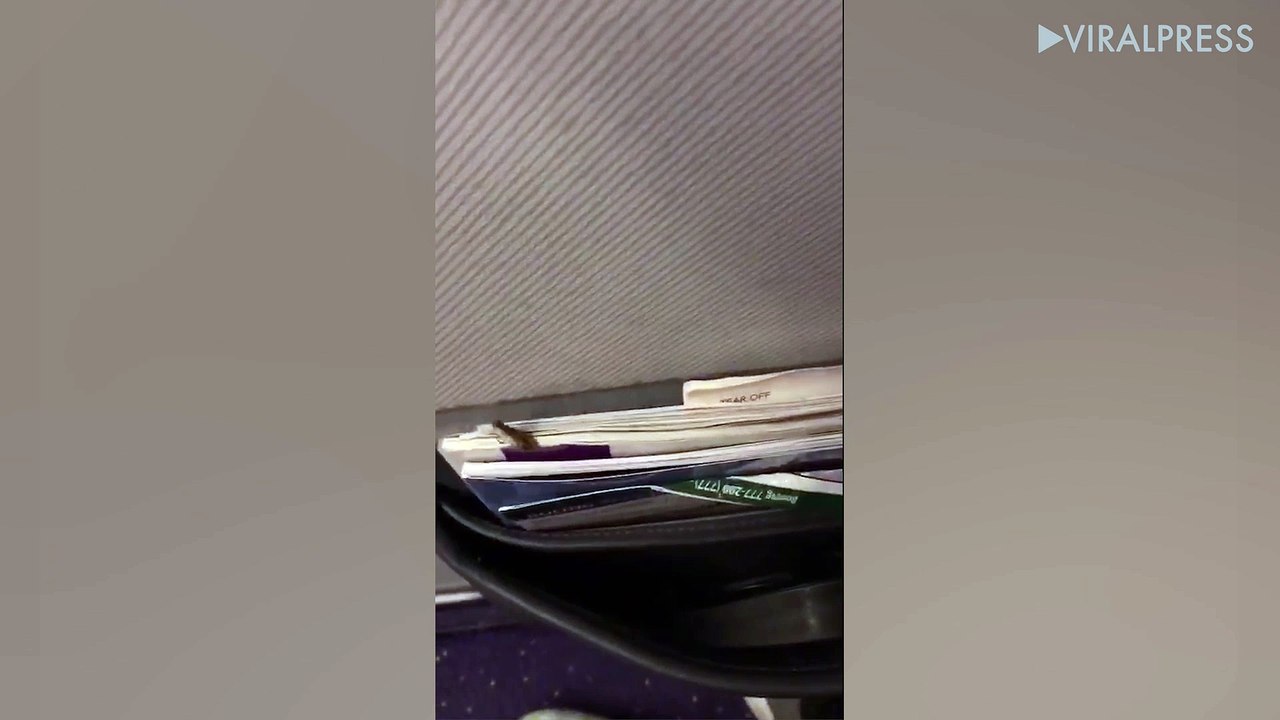 Cockroach On Thai Airways Boeing 777