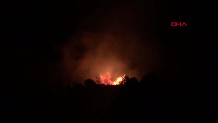 İzmir Ormanlık Alandaki Yangın Kontrol Altına Alındı