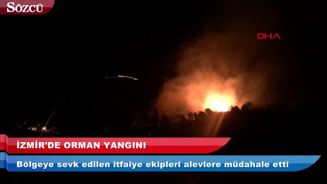 İzmir’de orman yangını