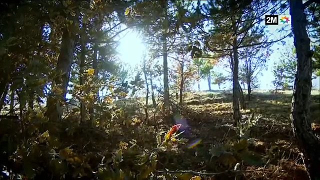 samhini 1520 2M Complete سامحيني الحلقة 1520 كاملة