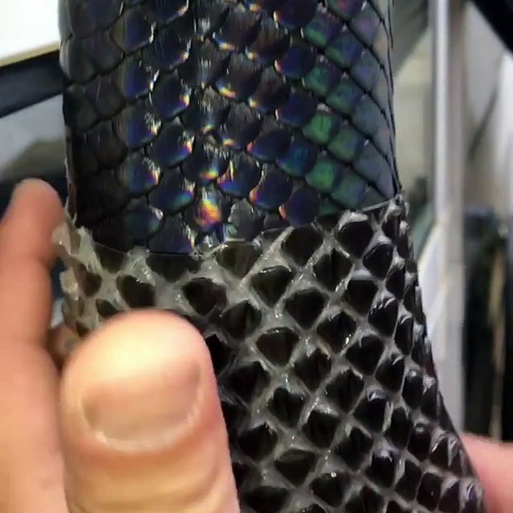 Retirer la peau d'un python pendant la mue