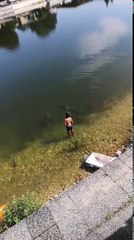 Cette enfant nourrit des énormes poissons, les pieds dans l'eau