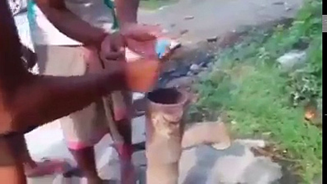 OS MAIS LOUCOS DA NET !!!