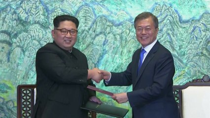 日, 비핵화 진전 기대...재벌 총수 방북에 촉각 / YTN
