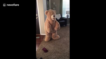 Girltrips and stumbles as she tries to stand in teddy bear costume