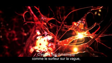 Régénération Bande-annonce VF (2018) Documentaire