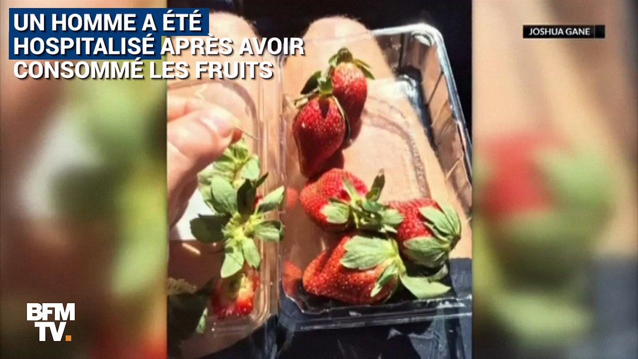 En Australie, des aiguilles à coudre découvertes cachées dans des fraises