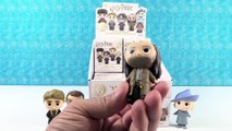 Harry Potter Funko Mystery Minis Full Case Unboxing Figure Review _ PSToyReviews