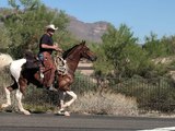 NEW RANKINGS! 10 Safest cities in Arizona - ABC15 Digital