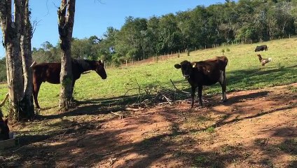 Ponei dando uma de machão kkkk