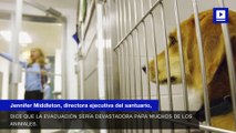Cientos de perros y gatos desafían la orden obligatoria de evacuación del huracán Florence