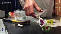 Australian science teacher uses liquid nitrogen to smash miniature plastic toys