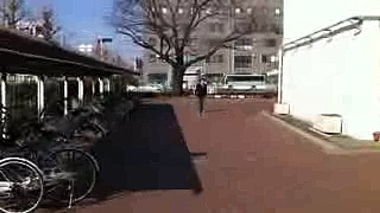 デビルバットゴースト (1)