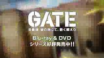 TVアニメ『GATE(ゲート) 自衛隊 彼の地にて、斯く戦えり』 BD&DVDシリーズ発売中CM