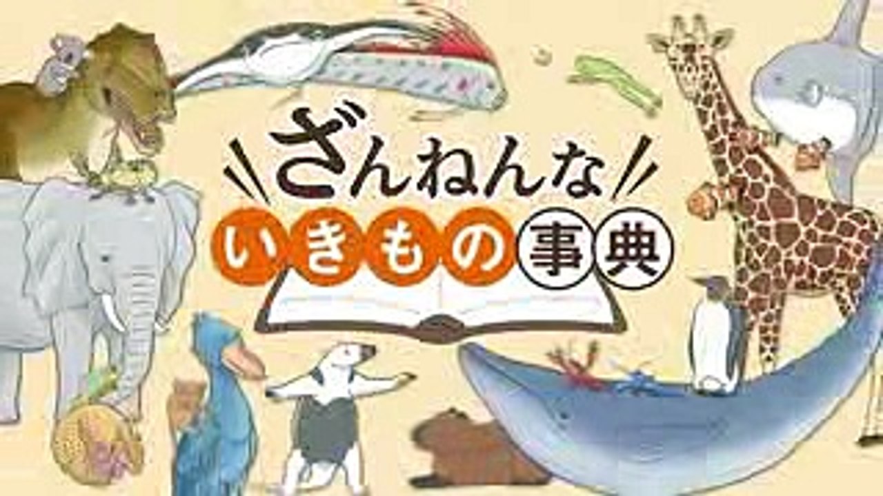 アニメ「ざんねんないきもの事典」紹介ムービー