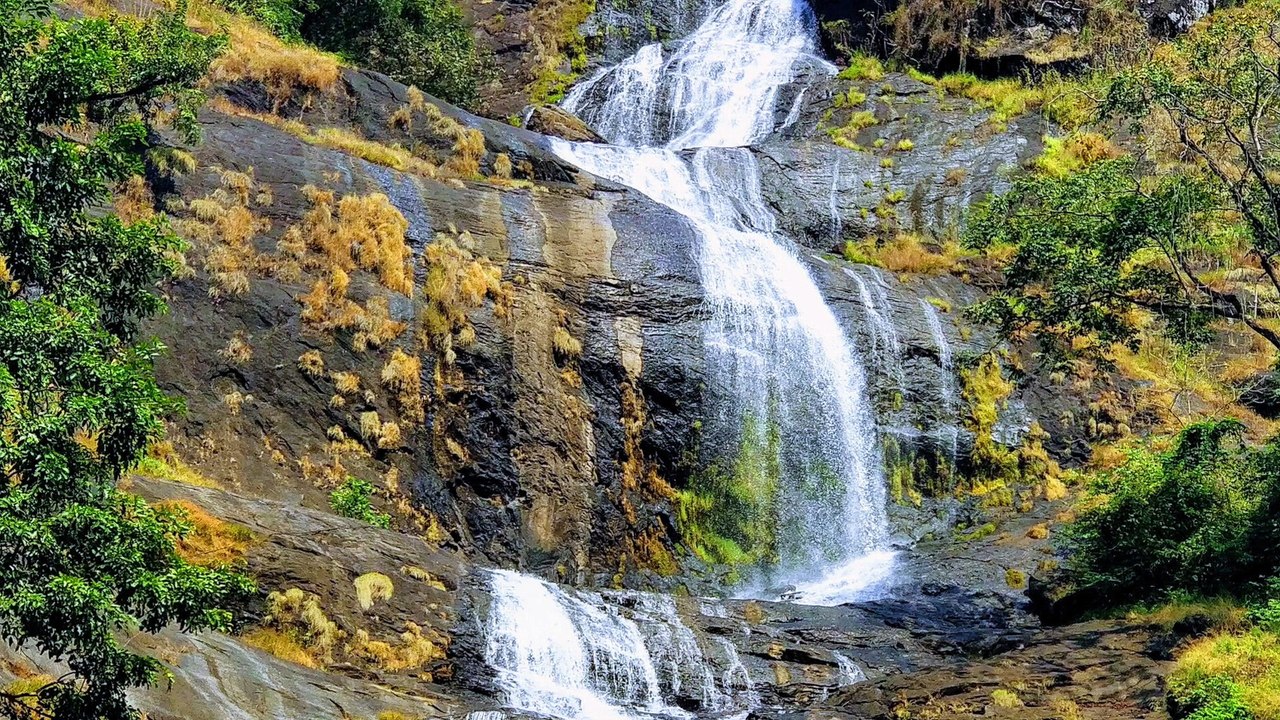 Munnar | Beautiful | From Bengaluru | Tips | Pics