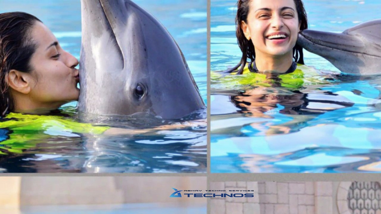 Trisha love at first sight(Tamil)