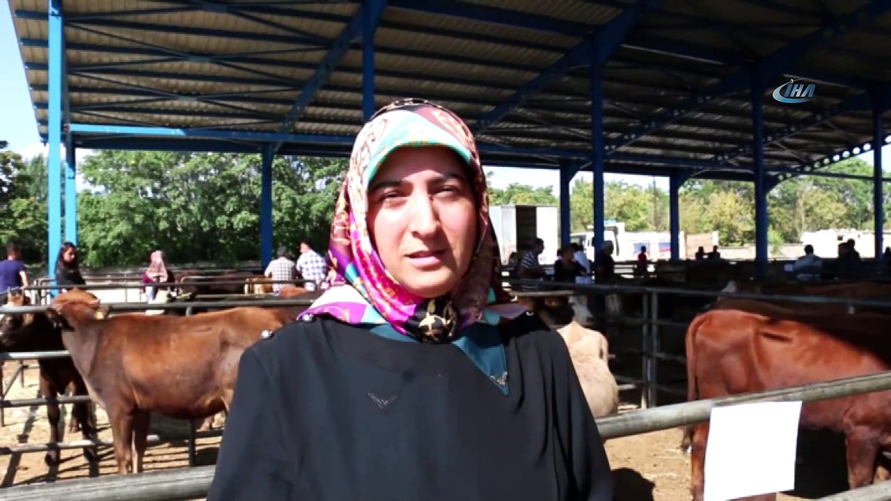 Erzincan'da genç çiftçilere büyükbaş hayvan dağıtımı yapıldı
