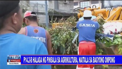 P14.2-B halaga ng pinsala sa agrikultura, naitala sa bagyong #OmpongPh
