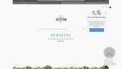 Un moteur de recherche qui plante des arbres