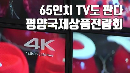 [자막뉴스] 북한 65인치 TV 가격은 얼마? 박람회 보니... / YTN