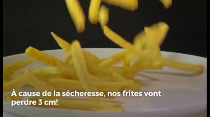 À cause de la sécheresse, les frites belges vont perdre 3 cm!