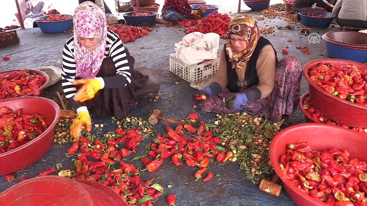 Şanlıurfalı kadınların 'isot' mesaisi