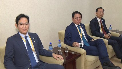 [남북정상회담 현장영상] 방북 경제인, 리용남 내각 부총리와 면담 / YTN