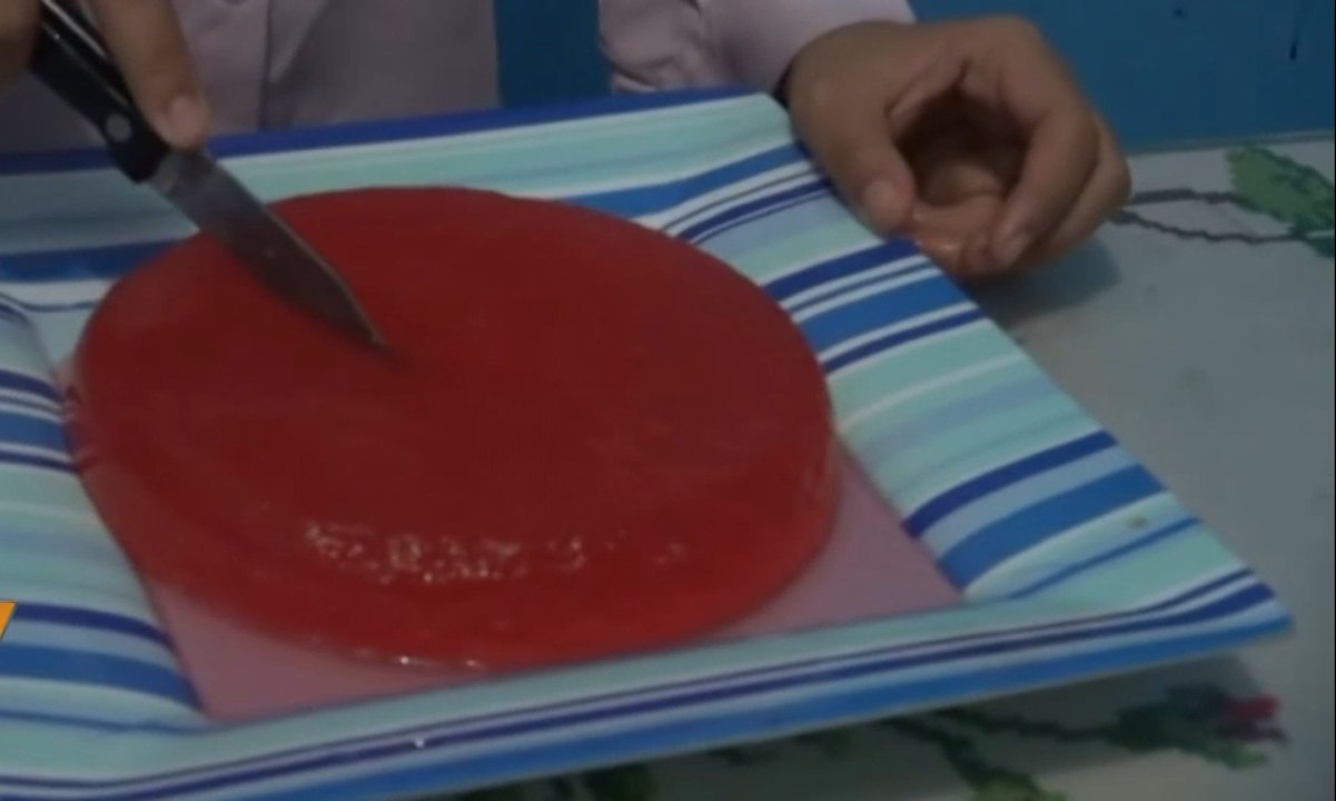 Mahasiswi Mengolah Mengkudu Jadi Puding