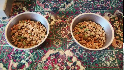 Obsessive Compulsive Cleaners S03 - Ep02 Gemma & Jim and Angie & Brian HD Watch