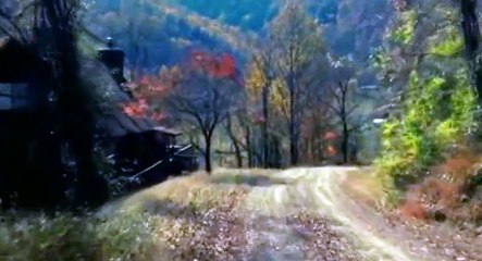 Hillbilly Blo'od A Hardscrabble Life S02 - Ep02 Church and Snake HD Watch