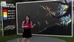 Une chaine météo utilise la réalité augmentée et la réalité mixte pour expliquer l'ouragan Florence, des images impressionnantes !
