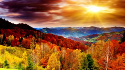 Autumn Leaves in Funk version with vocal HD720m2 bassline2 Bob Roha