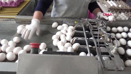 Balıkesir Protein Değeriyle Yumurta En Ucuz Gıda Hd