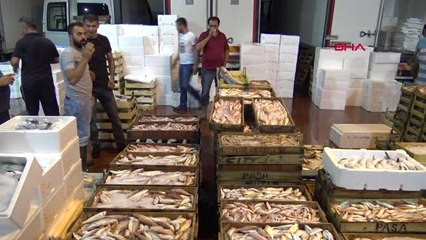 Antalya'da Balık Sezonu Açıldı