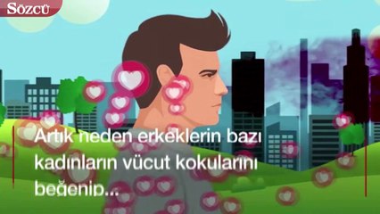 Erkekler neden bazı kadınların kokularını 'daha seksi' buluyor?