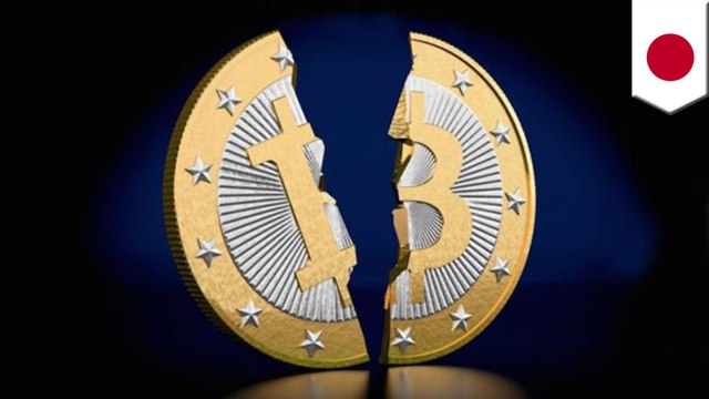 Mt. Gox payouts could trigger Bitcoin market crash