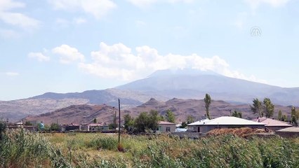 Ağrı Dağı'ndaki örtü yangını - IĞDIR