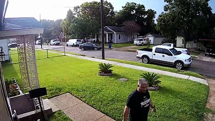 Il saute à l'arrière d'un pickup pour échapper à des chiens