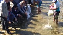 Bursa İznik Gölü'ne 500 Bin Yavru Sazan Bırakıldı