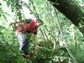 Présentation jérome