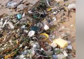 Cleanup Underway After Trash Washes Up on Hong Kong Beach Following Typhoon