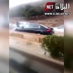 فيديو: السيارات العائمة.. هذا ما فعلته السيول في الجزائر