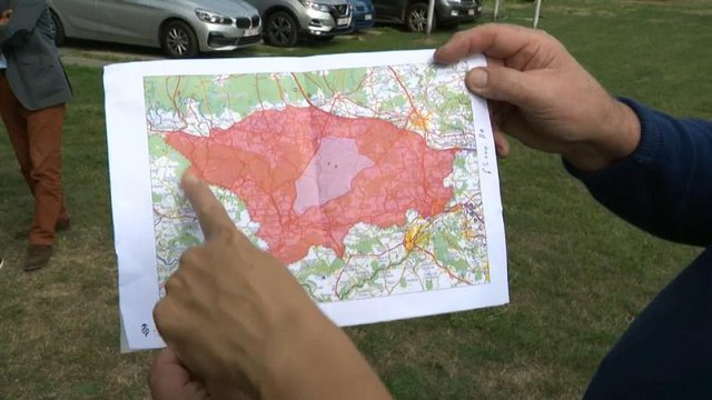 В Бельгии нашли новые случаи заражения африканской свиной чумой