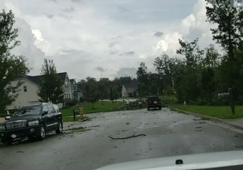 Tornado Leaves Fallen Trees in its Wake in Moseley, Chesterfield County