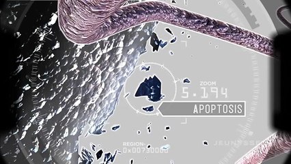 FINITI - TA 65 - Nobel Prize Winning Formula by Jeunesse